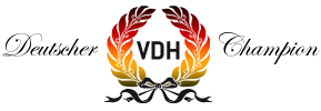 deutscherchampion