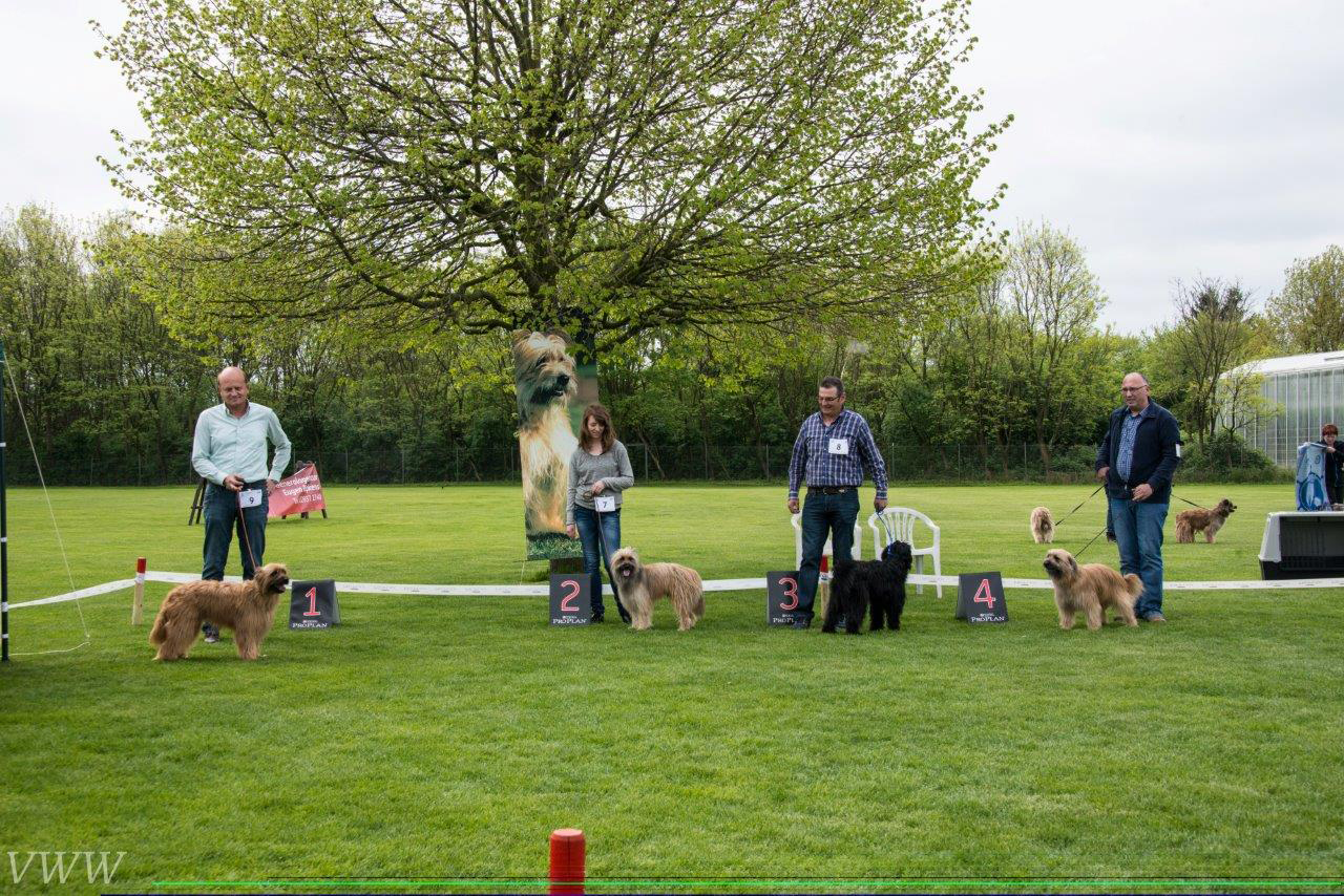 VWW - Vom Wissenerwald